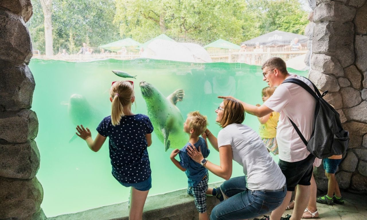 Zoo Osnabrück – Besucher