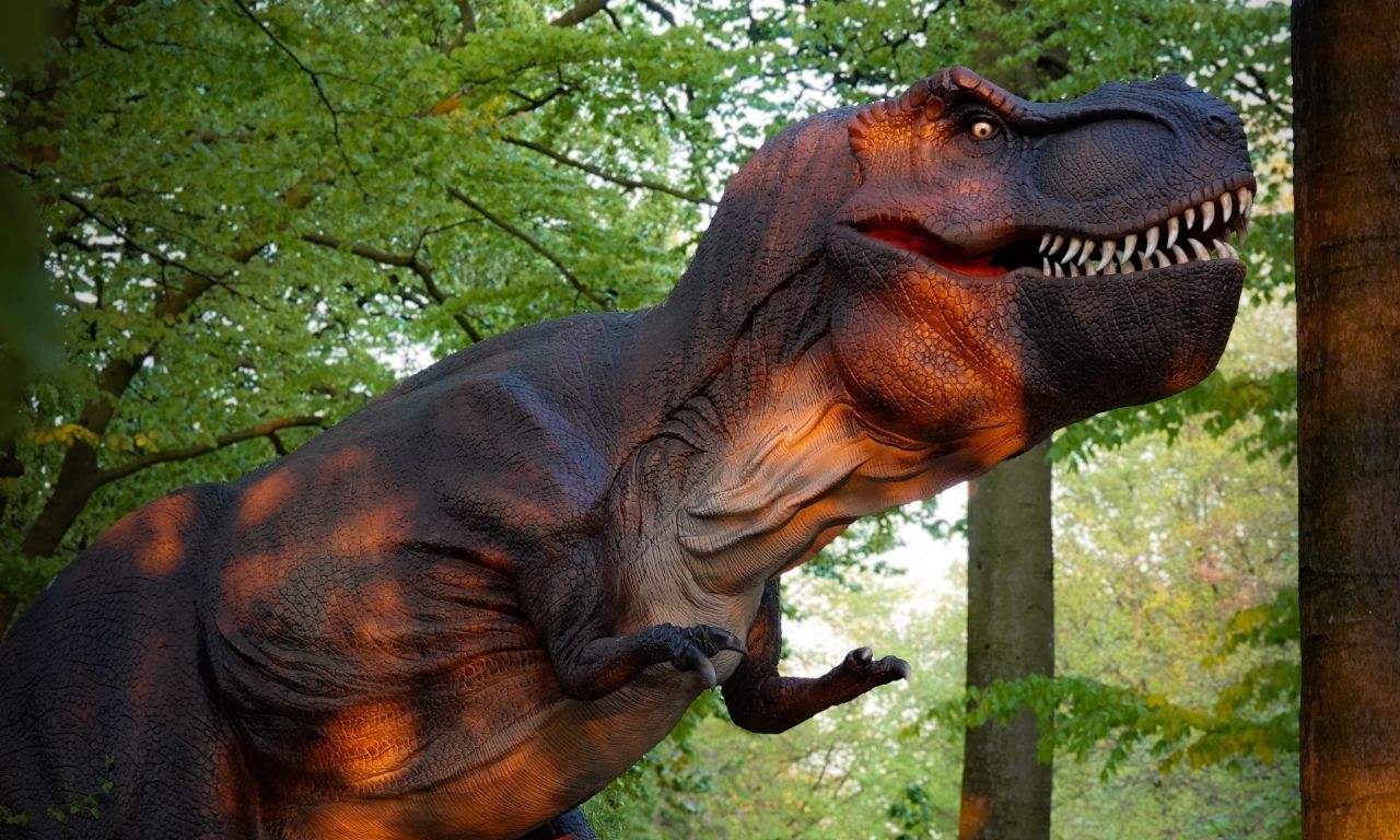 Zoo Osnabrück – Dino